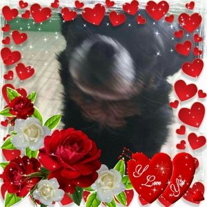 Meet your Posher, Audra